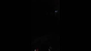 Download lagu Cawet gaes mp3 Download lagu Cawet gaes mp3