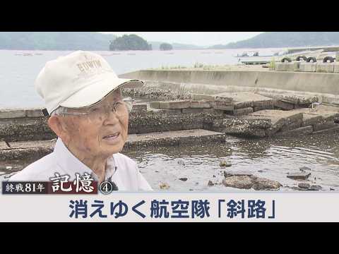 YouTube動画