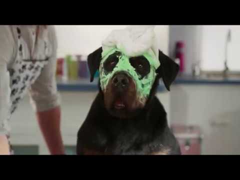 Show Dogs (Trailer 'The Best')