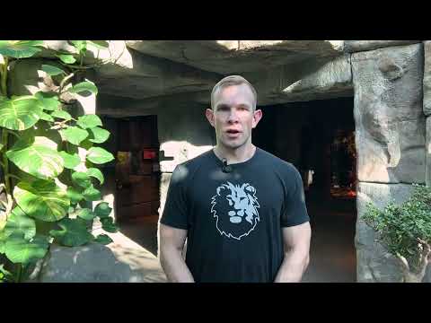 Snakes are an important part of Colorado's ecosystems 🐍