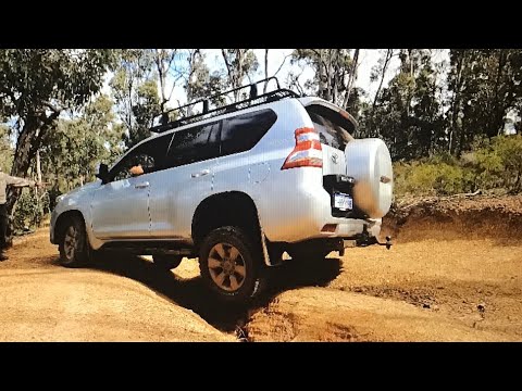 WE TEST & SEE WHAT THE PRADO IS BETTER AT - sand vs bush