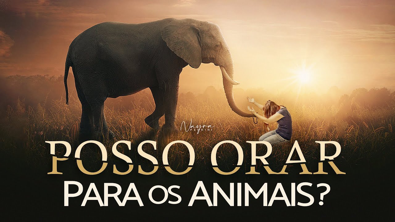 POSSO ORAR PELOS ANIMAIS? - Nayra Pedrini