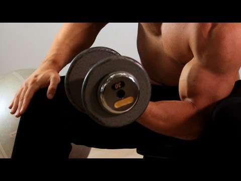 How to Do a Concentration Curl | Arm Workout