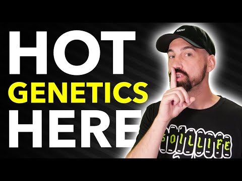 The Breeder Everyone’s Talking About (For Good Reason)