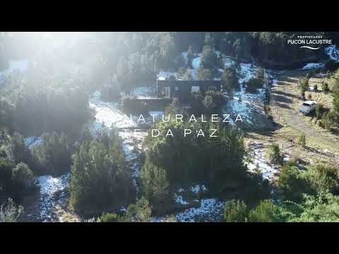 Puyehue 1