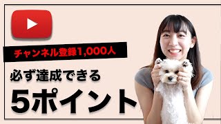 YouTubeチャンネル登録者1,000人までやった5つの事