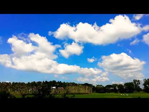 Mobile photography focus 4u