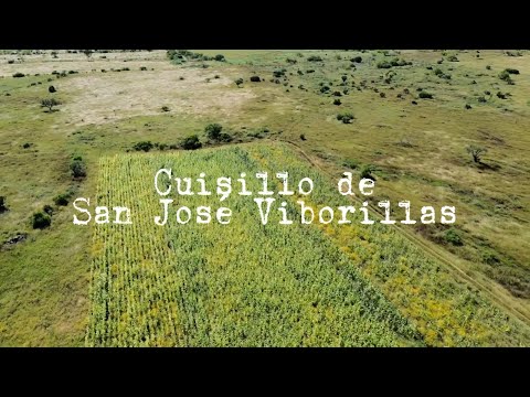 Recorrido en moto al Cuisillo de San José Viborillas en Apaseo el Grande ⛰️✝️