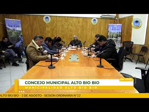 CONCEJO MUNICIPAL - MUNICIPALIDAD ALTO BIO BIO - 3 DE AGOSTO -  SESIÓN ORDINARIA N°22
