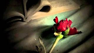 Aventura  Cuando Se Pierde Un Amor