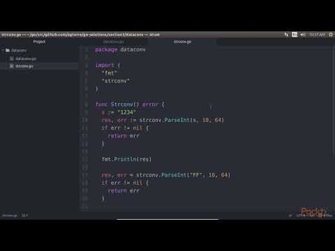 Begin Soln in Go–The Basics Clients Servers Convert Data Type Interface Casting| packtpub com