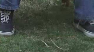 Liz Janes & Create(!):  Jesus is a Dying Bed-Maker