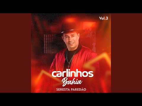 Volte Amor (Torneró)