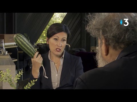 Plus belle l'eau de vie - Ep 1 : Monsieur le député - Groland - CANAL+