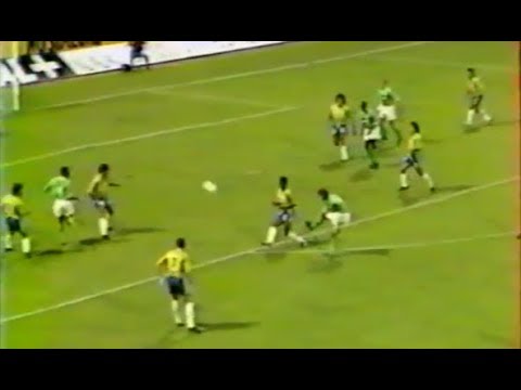 ASSE 2-0 Toulon - 5e journée de D1 1992-1993