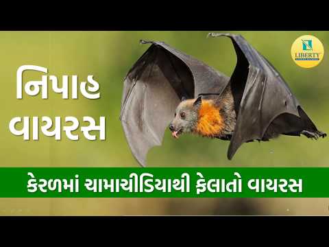 નિપાહ વાયરસ