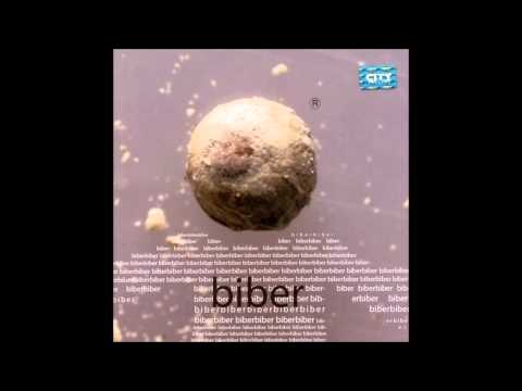 Biber - Gde Si Bilo Jare Moje feat. Jelena Tomasevic  (audio 2004)
