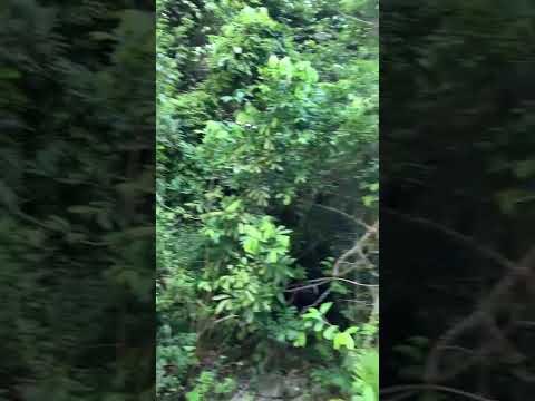 cachoeira escondida em Jucuruçu, Bahia