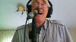 Bye Bye Blackbird by DaveHall