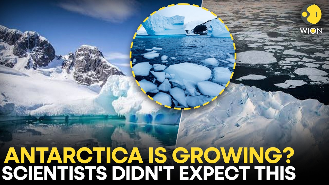 The Antarctic Paradox: Ice Grew By 700 Billion Tons — But Scientists Say It's Actually A Warning