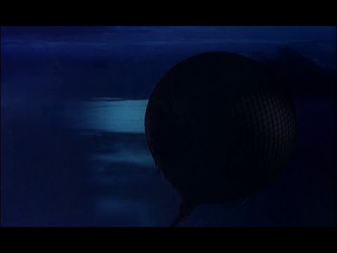 Terror Art - Dreptul la existenta