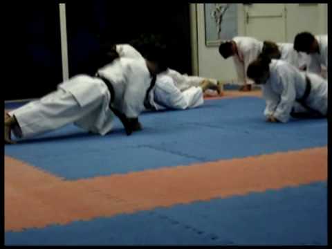 Apresentação AAARL 2009 - Karatê