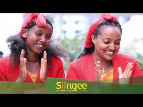 Goobee fi Shinooyyee ጎቤና ሺኖዬ