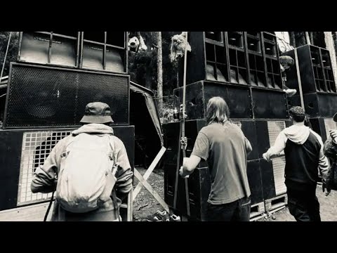 NO NAMES - SUPER SOLID (LIVE SET)