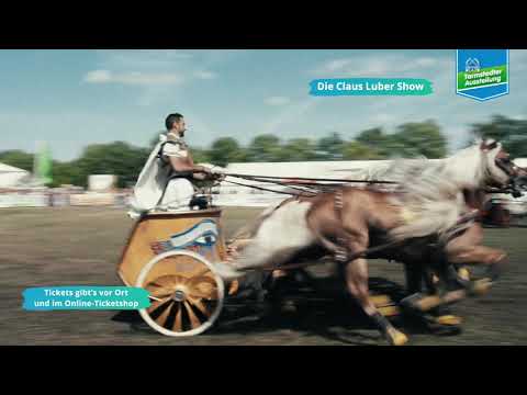 Tarmstedter Ausstellung 2023 – Claus Luber und seine Haflinger 🐴