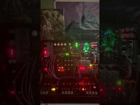 Moog, Erica Synths, Qu-bit Electronic, Vermona Custom Modular Synth image 6