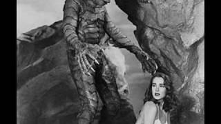 broadcast and the focus group.....wmv