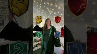 Harry Potter Outfit House Edition ⚡️🐍 #harrypotter #hogwarts #outfits #slytherin