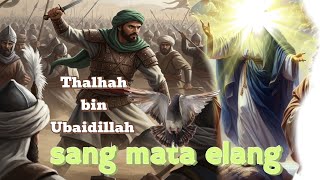 Talha bin Ubaidullah ||The Eagle Eye in the Battle of Uhud