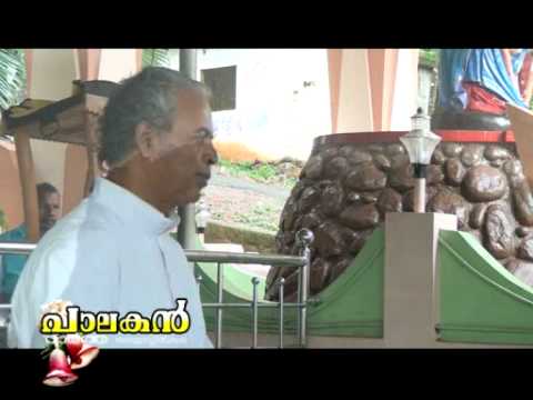 PALAKAN NEWS NTA   09  12  2011.mp4