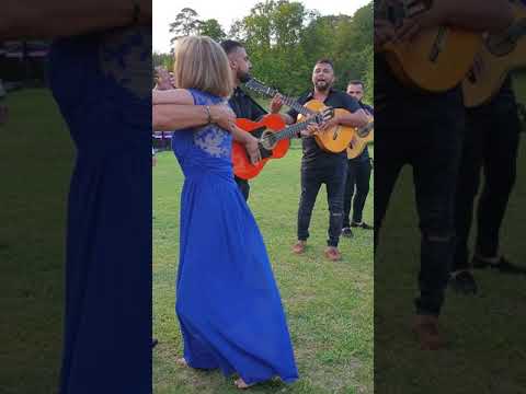 Gipsy Tolosa pour vos évènements 06 40 95 56 34   www.groupe-gipsy-toulouse.com