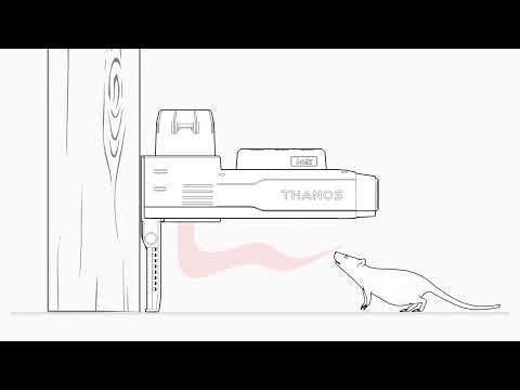 MK47 Basic automatische Ratten- & Mausefalle, Akku