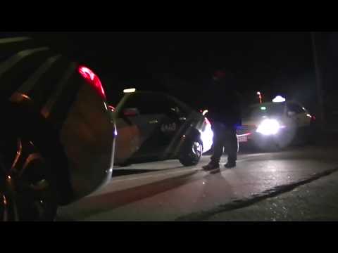 Reporter John Olsen fra Mongo TV sidder i Klampenborg og råber FISSE