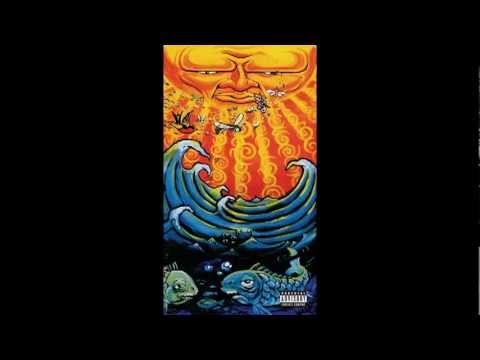 Video thumbnail for New Realization (Acoustic)
