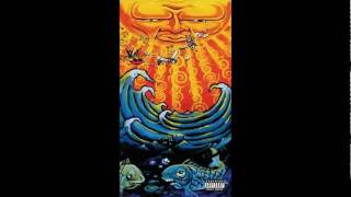 Sublime - New Realization (Acoustic)