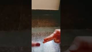 Download lagu My sister with me when she is angry mp3