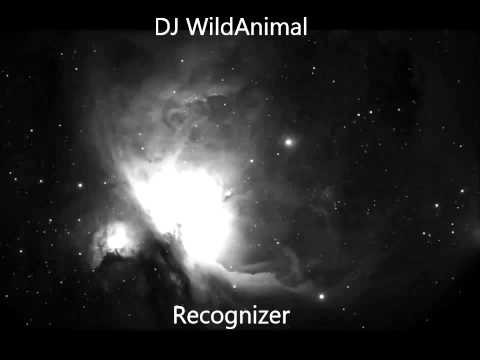 DJ Wild Animal --- Recognizer (Anthem 2014) (House)