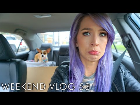 Leaving Luna For Willie Nelson | weekend vlog 53 | LeighAnnVlogs Video