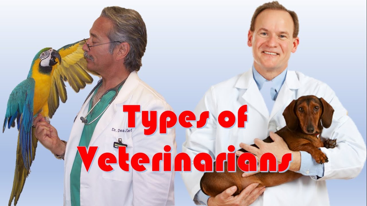 What are the 11 types of veterinarians? More REF