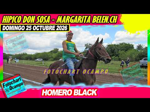 HOMERO BLACK Margarita Belen CH 25 10 2026