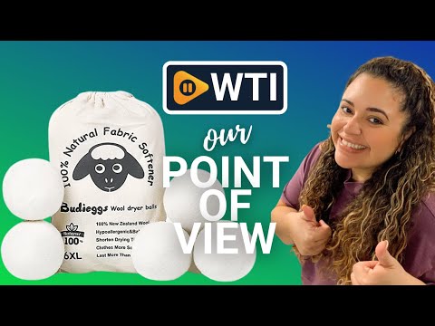 Budieggs Wool Dryer Balls - WTI product video review