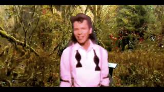 Icehouse - Into the Wild