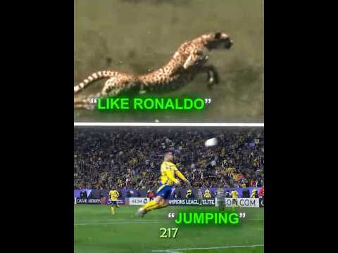 Ronaldo & Animals Have The Same Skills...🤯😂