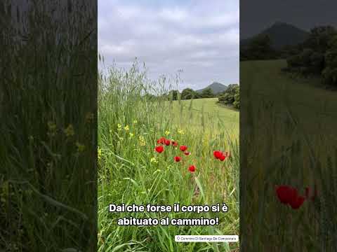 Il Cammino è per tutti e il corpo si allena camminando