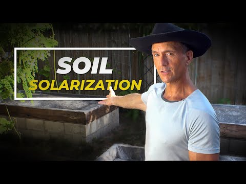 3 Reasons to Solarize Your Garden (& How to Do It Correctly)