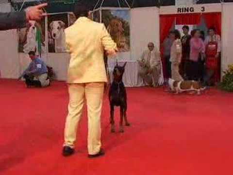 DE LEX LUTHOR FLASH DANCE